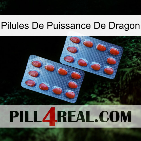 Dragon Power Pills 05